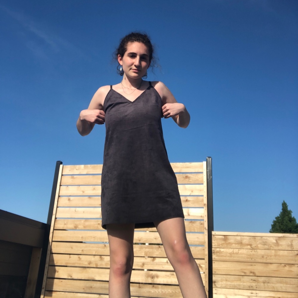 Suede ARITZIA Wilfred Dress